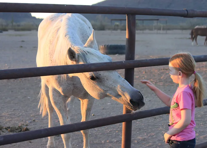 Frühstückspension White Stallion Ranch Marana